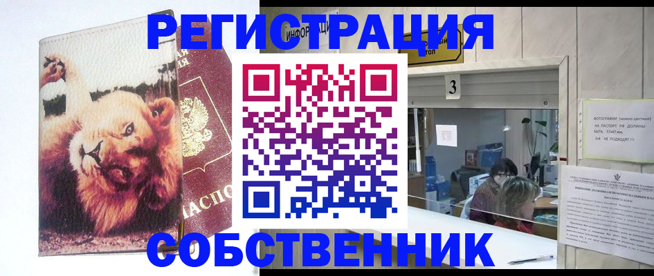 прописка поиск в Донском